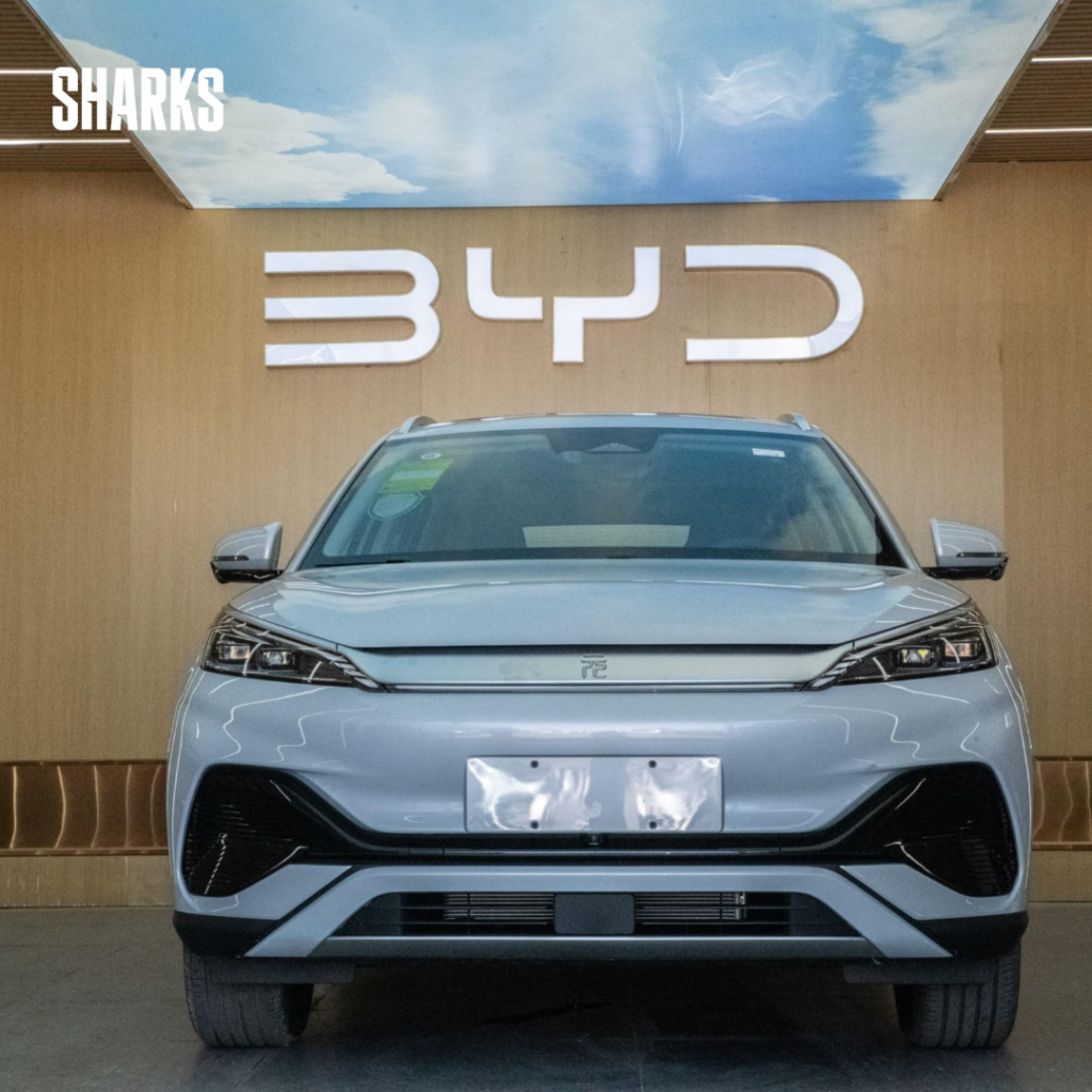 A recent research by Kiel Institute for the World Economy sheds light on the large government subsidies received by BYD.