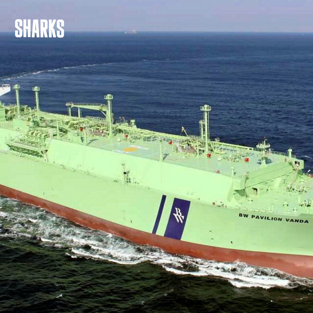 Three sources with details of the case said Shell and Saudi Aramco, competing to purchase the assets of Temasek-owned liquefied natural gas (LNG) trading company Pavilion Energy, are now closed in price negotiations after completing the due diligence.