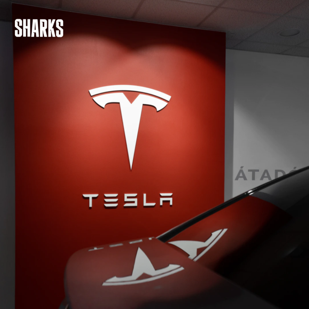 Tesla has dialled back its grandiose aspirations for gigacasting, a new technique that aims to simplify procedures.