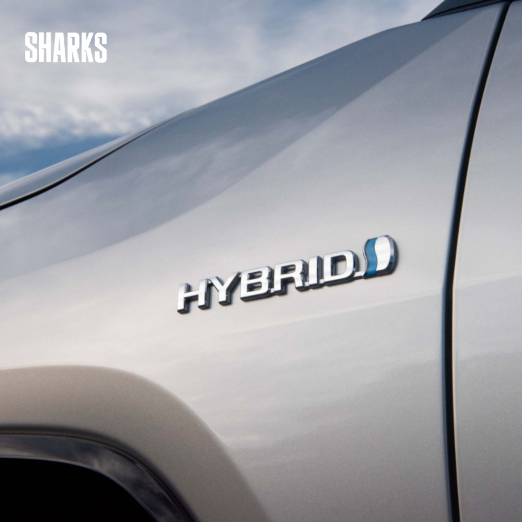 While hybrid cars are praised for their environmentally friendly features and possible fuel savings, not all models