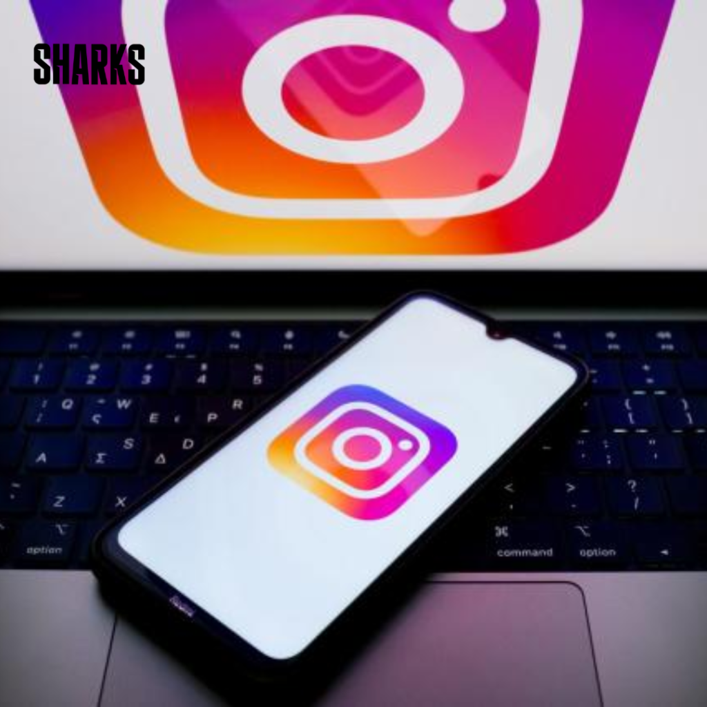 Instagram's parent company, Meta, is researching the deployment of unskippable adverts on the popular social media network.